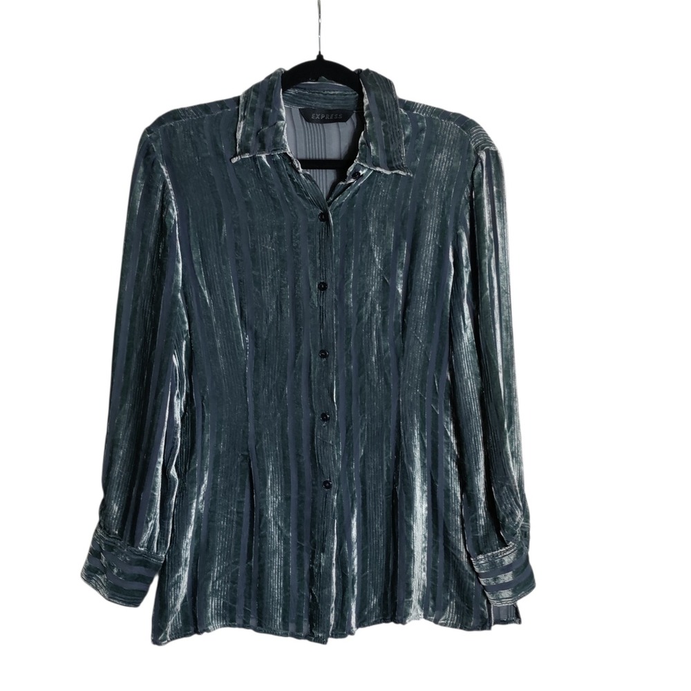 Express Womens Large Silk Blend Velvet Burnout Striped Button Down Shirt